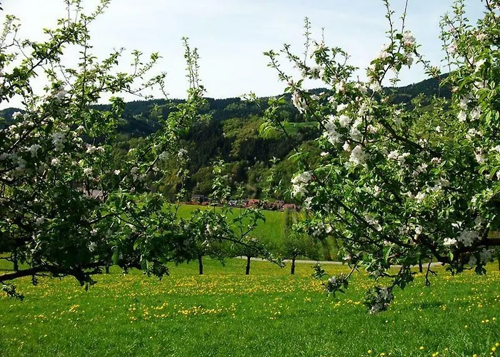 Гостевой дом Waldfrieden 2*