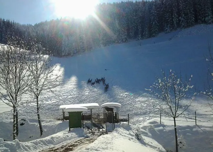 Waldfrieden Оберхармерсбах